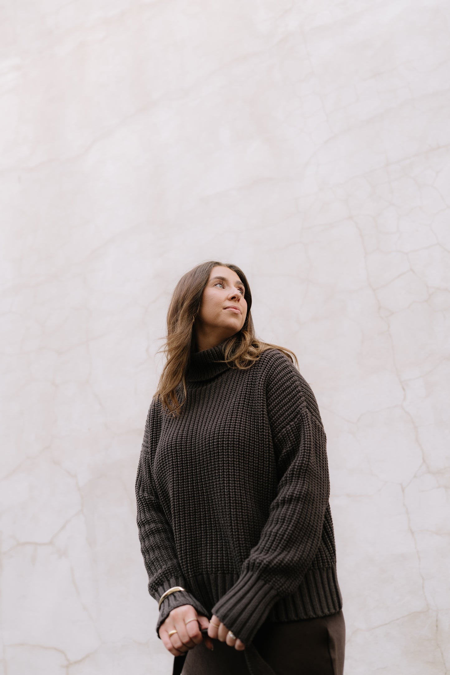The Ridge Roll Neck Knit